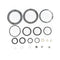 Pavoni Professional Gaskets Kit