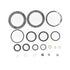 Pavoni Professional Gaskets Kit